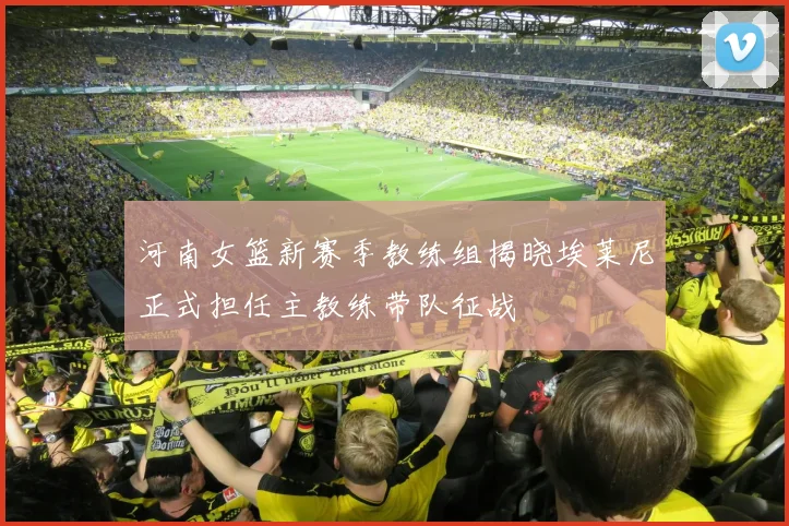 河南女篮新赛季教练组揭晓埃莱尼正式担任主教练带队征战