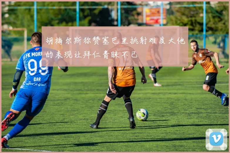胡梅尔斯称赞塞巴里挑射难度大他的表现让拜仁青睐不已